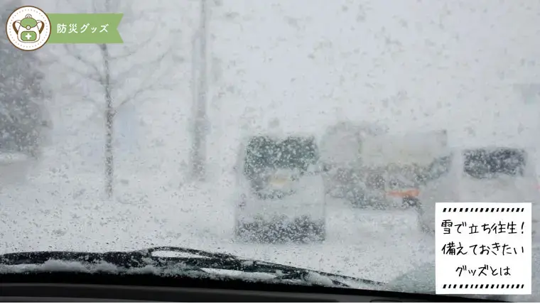 【体験レポ】雪の関越道で33時間立ち往生！その時わかった本当に必要な備えや発見とは