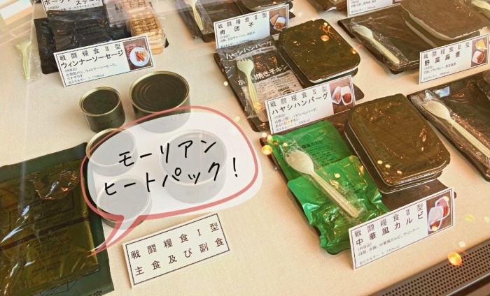 発熱剤グッズ_りっくんランド参考