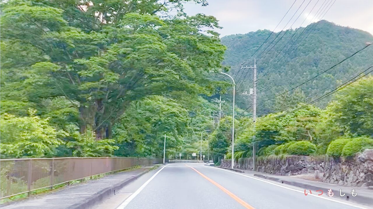 車内から見た景色。