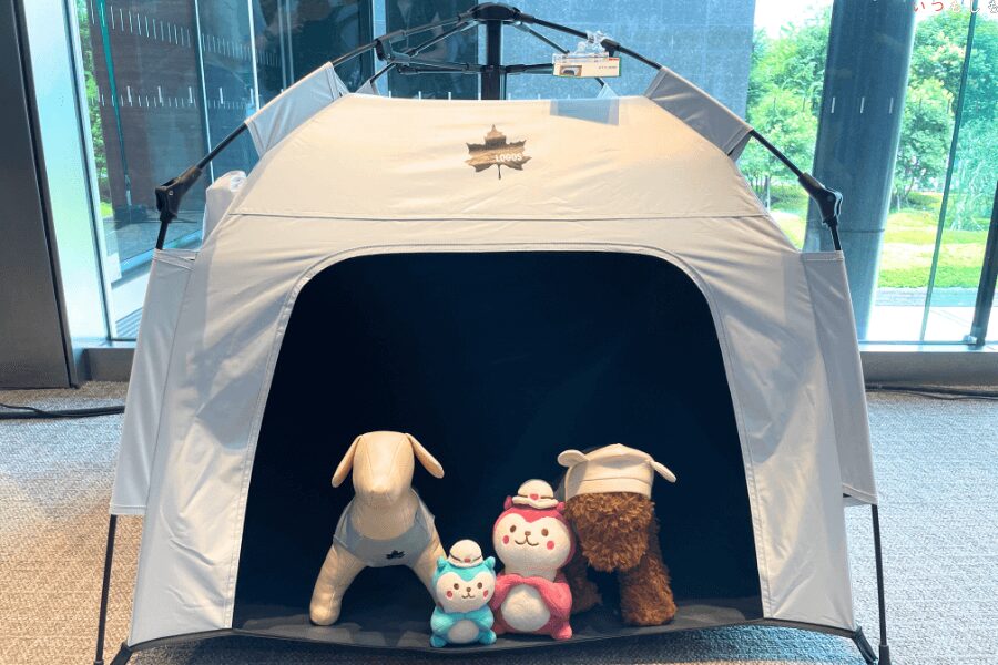 ソーラーブロックQTOP Petty Baseの中にいる犬のぬいぐるみともも＆こもも