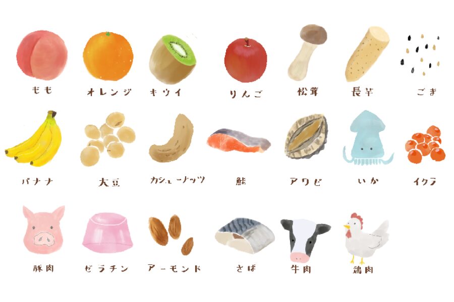 特定原材料に準ずる20品目